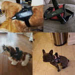 Afbeelding in Gallery-weergave laden, Dog-Harness Comfort™ Gepersonaliseerde naam badge | per 2stuks
