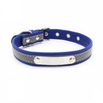 Afbeelding in Gallery-weergave laden, Cat-Collar Engrave™ | Tijdelijk 50% Korting+GRATIS gepersonaliseerd!
