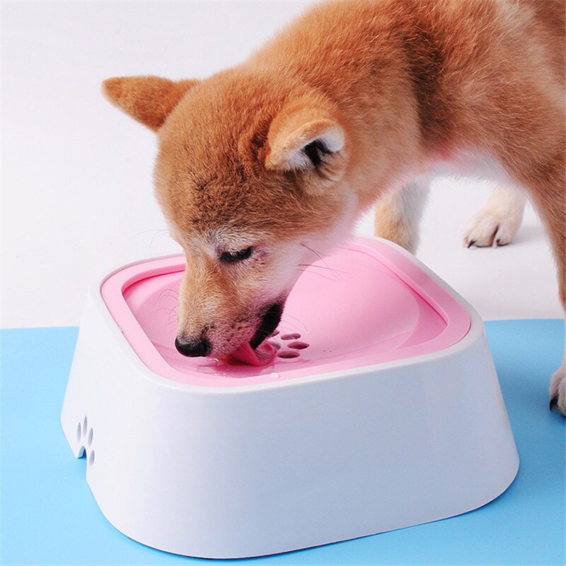 Dog&Cat | Anti-drip Bowl Comfort2020™ |