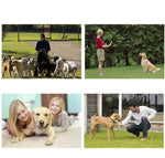 Afbeelding in Gallery-weergave laden, Dog-Clicker Pro™ | Tijdelijk 50% korting!
