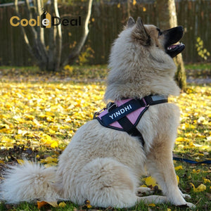 Dog-Harness Comfort™ | Elke hond verdiend een 𝐕𝐞𝐢𝐥𝐢𝐠 𝐇𝐚𝐫𝐧𝐚𝐬!